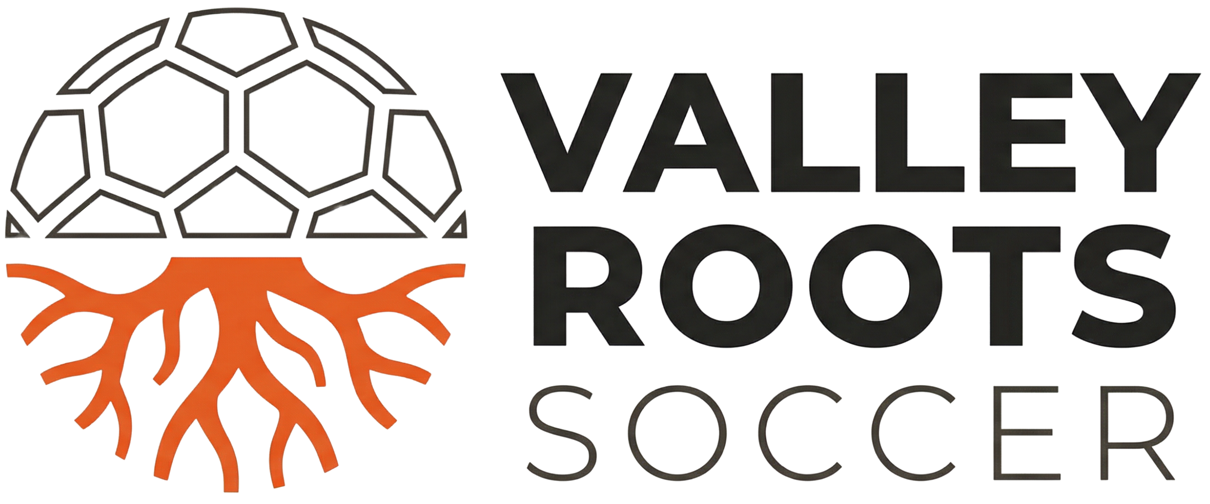 Valley Roots Soccer logo