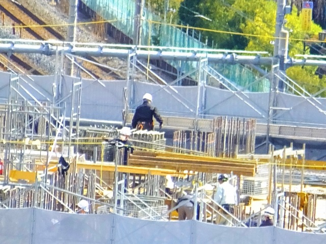 企業の採用担当者必見！育成就労制度の概要・対象職種・在留資格まとめ