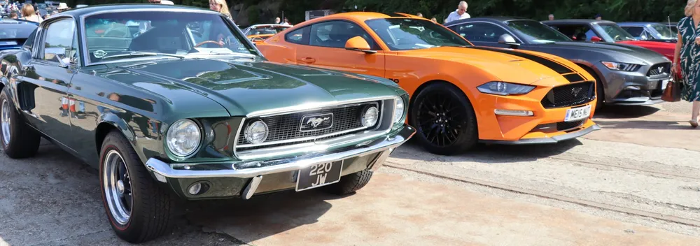 Mustangs Supercharged