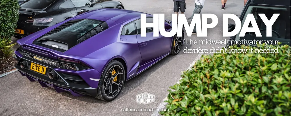 Hump Day - The Hut
