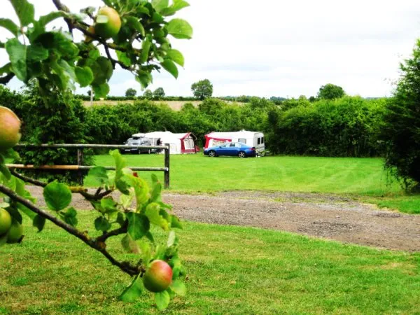 Binton Bangers & Bikes