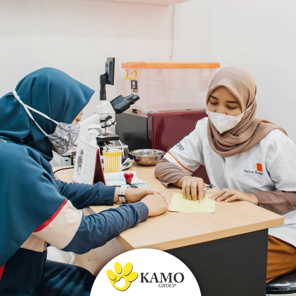 produk 4 emiten Pt Kamo Group Sejahtera