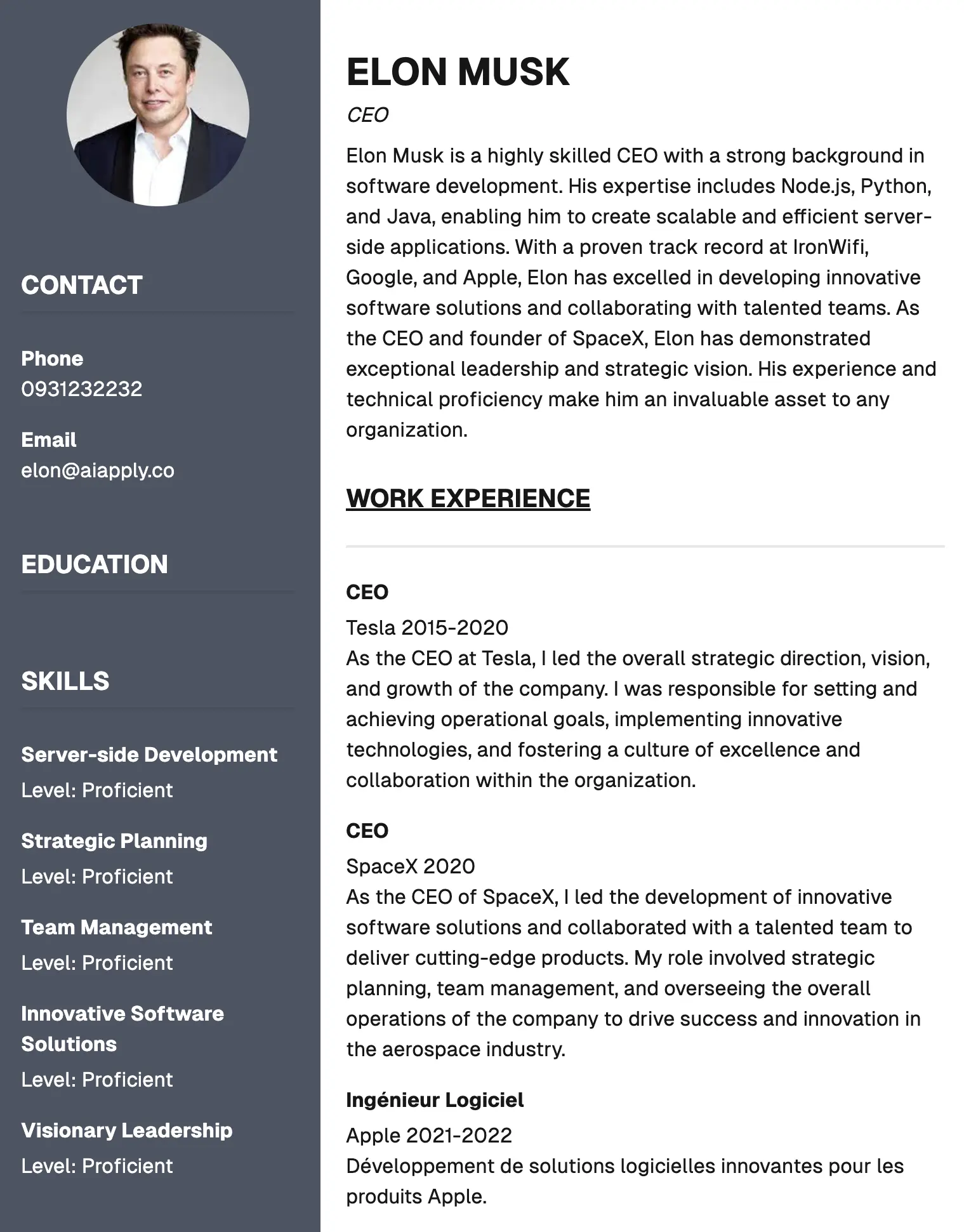 elon musk CV