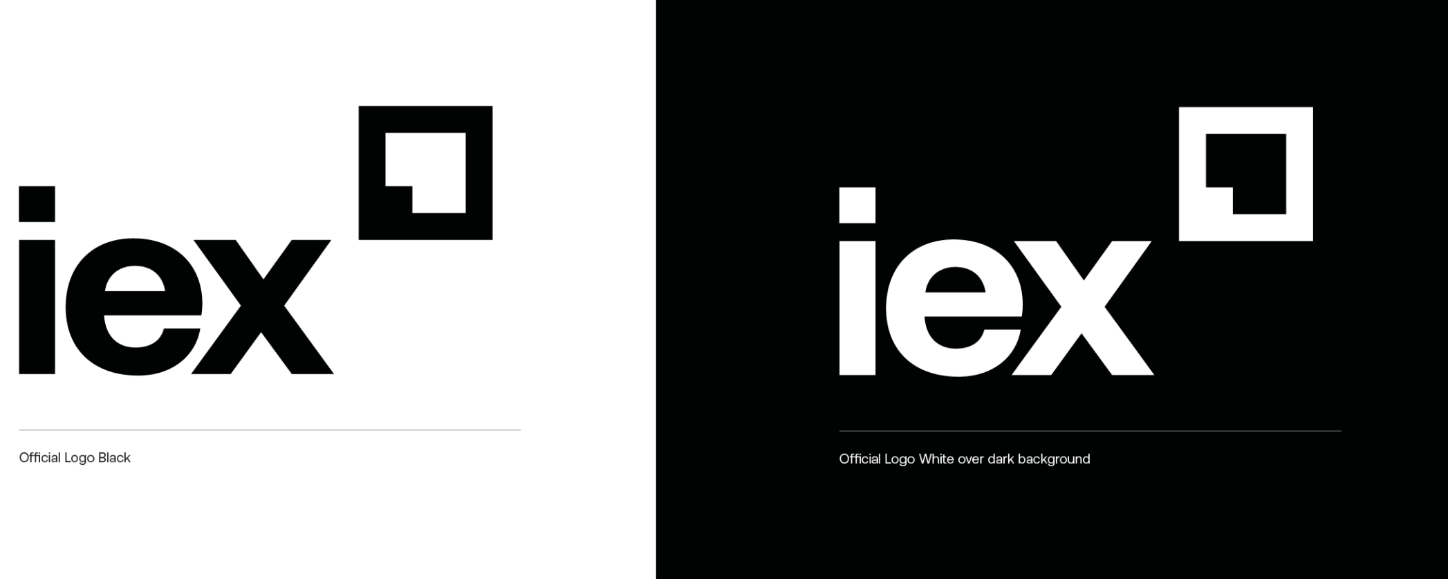 what-is-iex-brand-guidelines-iex-group-inc