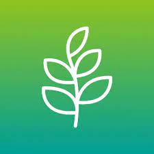 癒しの環境音で快眠リラックスの使い方について解説!評価・口コミ、注意点までレビュー