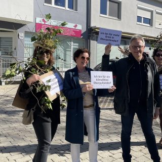 Unterstützung für BLOP! Initiative klimafittes Oberpullendorf 32 - Barbara mit Unterstützern beim Faschingsumzug