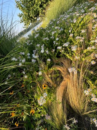 Grünes aus der Gartenstadt Tulln