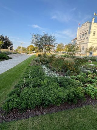 Überall Blumen, Bäume und Grün - das ist für ein Stadtzentrum die Zukunft