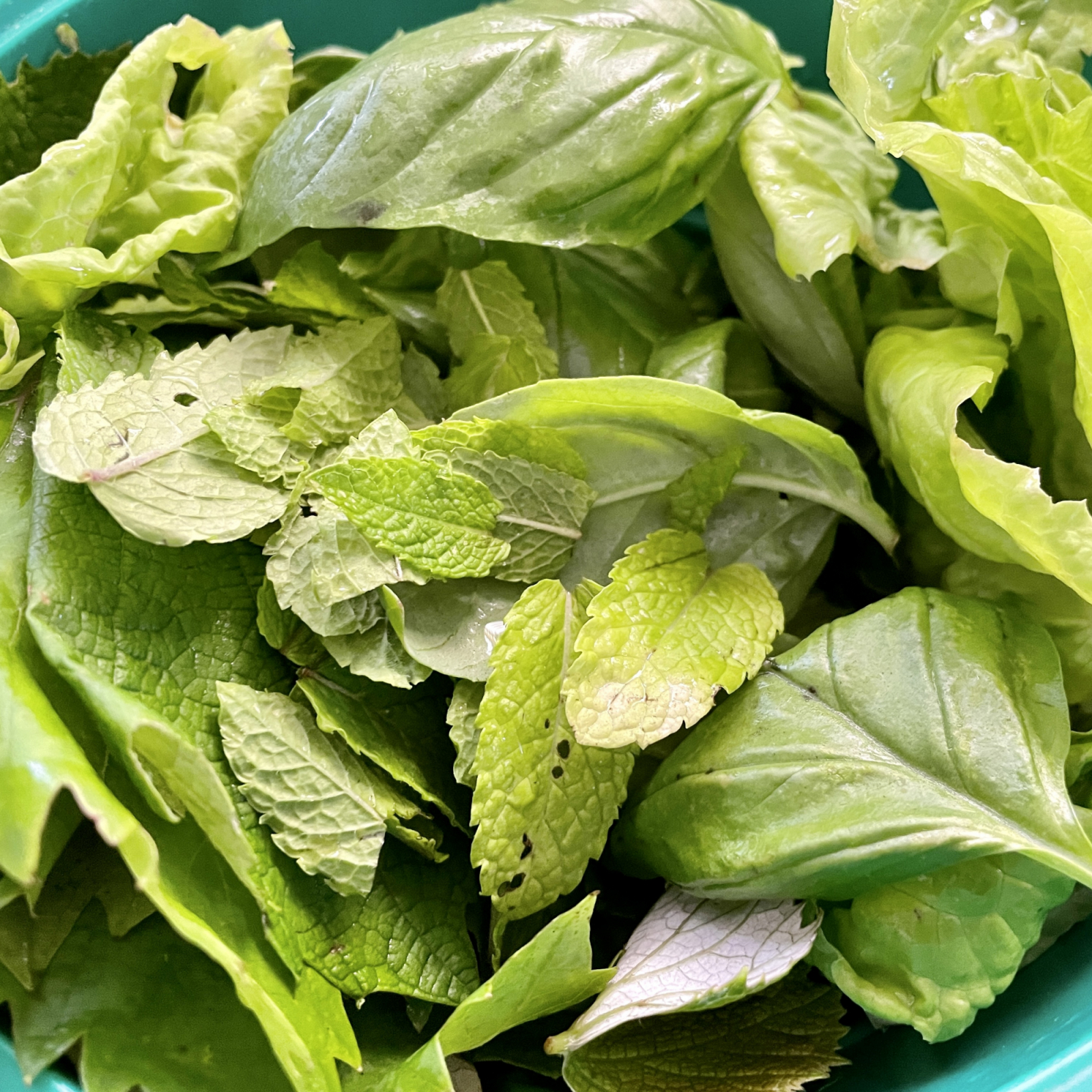 Fast alle Kräuter passen ins Chimichurri - Basilikum, Minze, Oregano, Bärlauch und auch Weinblätter