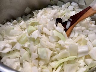 Aller Anfang ist Kraut und Kohl - hier Weißkraut und Chinakohl mit Zwiebeln