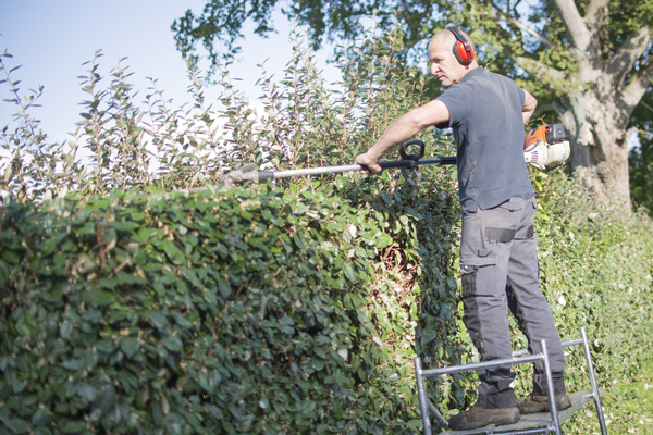 Nouveau service d'élagage chez Jardins de Vendée ! - Jardins de Vendée