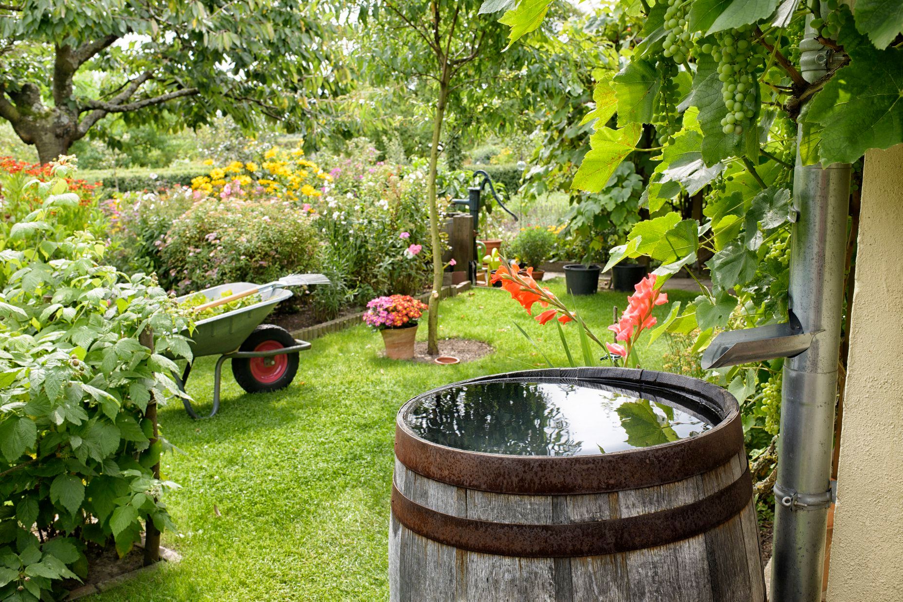aménagement jardin Vendée Aizenay