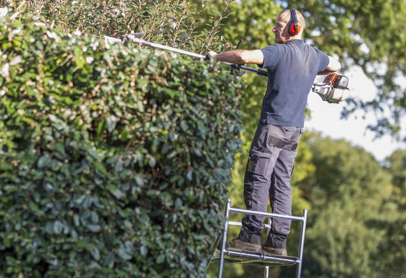 L'aide au jardinage