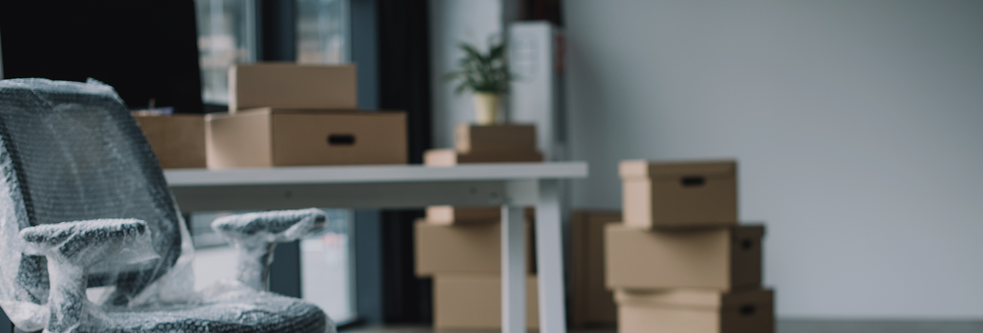 Émeraude BOX - professionnels
