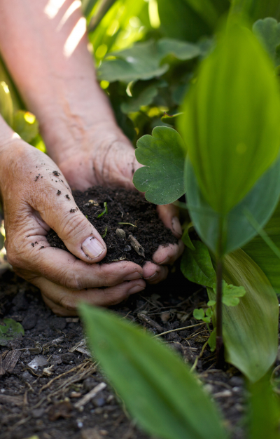 Comment choisir du terreau en jardinerie ?