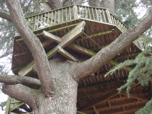 TERRASSE DANS UN ARBRE