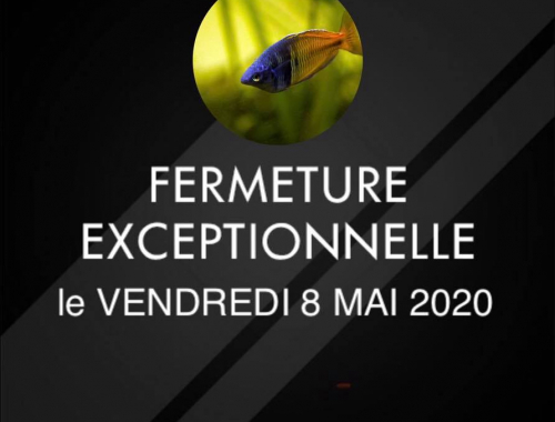 fermeture exceptionnelle animalerie Lanester