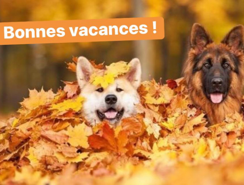 animaux bonnes vacances Lanester