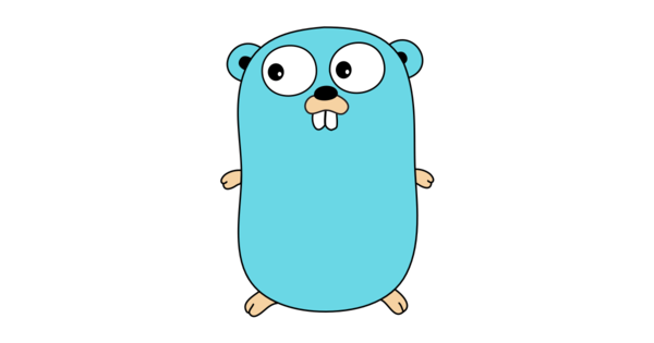 Google Go Intensiv-Schulung