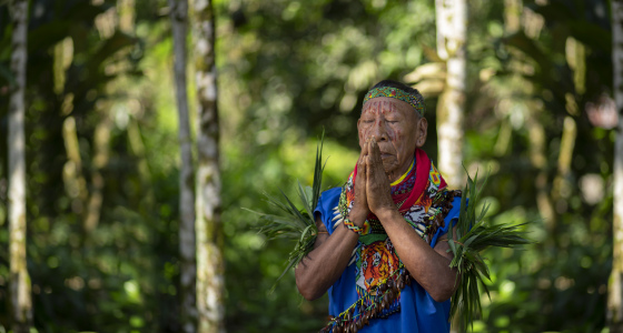 indigenous shaman