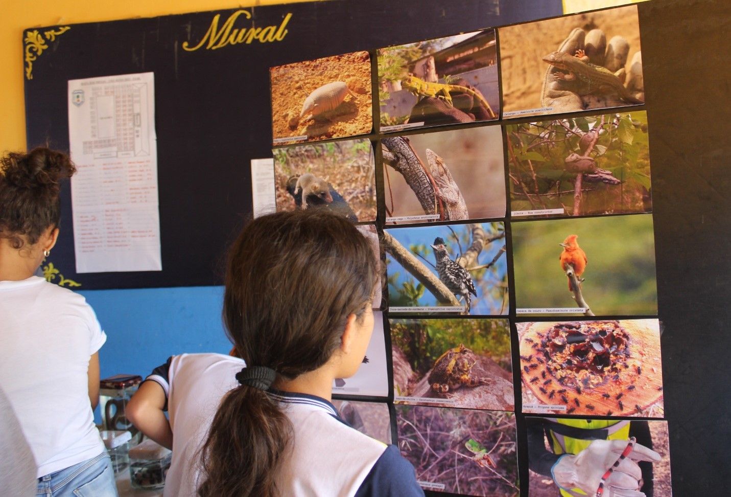 Imagem de uma criança olhando para um mural de fotos