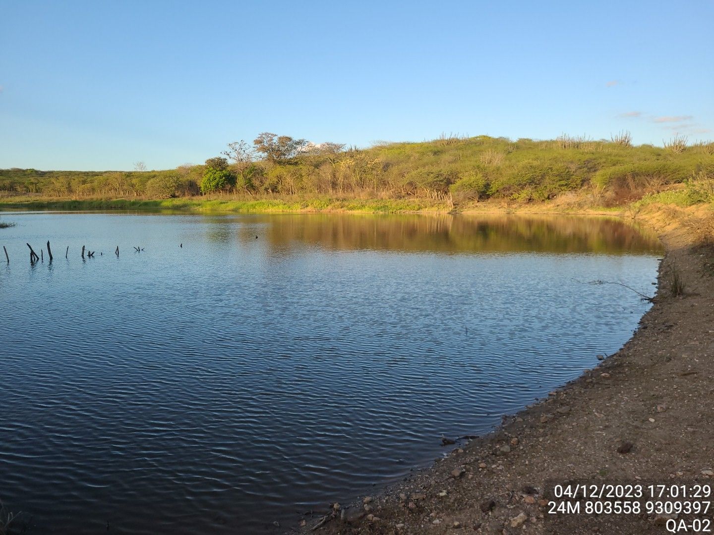 Imagem de uma lagoa