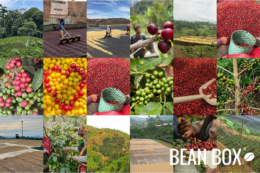 Zoka Coffee | Hidden City | Bean Box®
