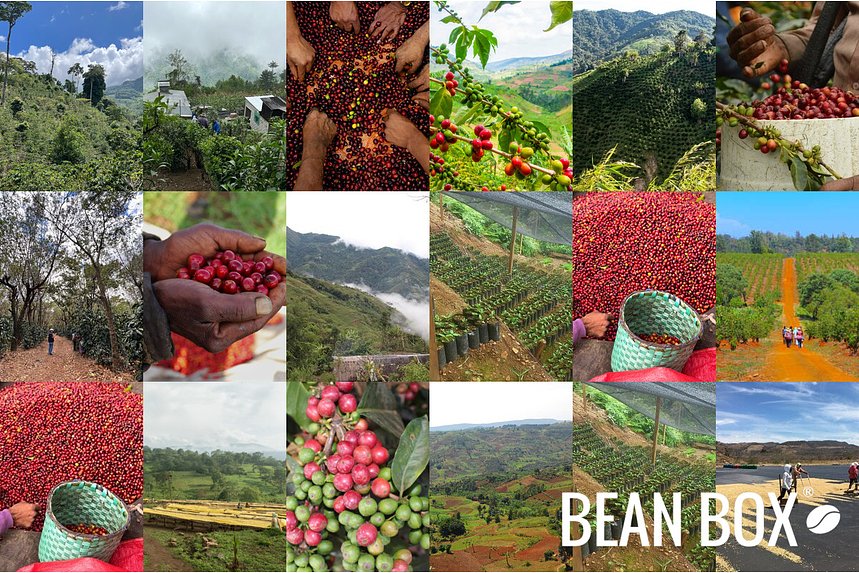 Blossom Coffee Roasters | Deja Vu Blend | Bean Box®