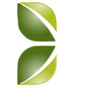 capital-trust-ltd Logo