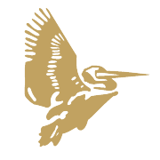 cranes-software-international-ltd Logo