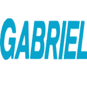 gabriel-india-ltd Logo