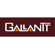 gallantt-ispat-ltd Logo