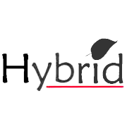 hybrid-financial-services-ltd Logo