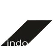 indo-amines-ltd Logo