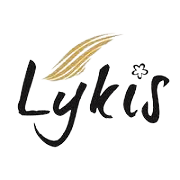 lykis-ltd Logo