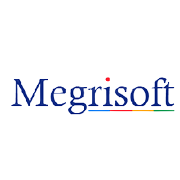 megri-soft-ltd Logo