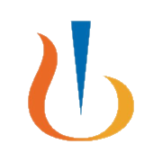 novartis-india-ltd Logo