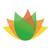 vishnu-chemicals-ltd Logo