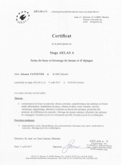 diplôme formation AELAS A