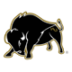 Harding Bisons