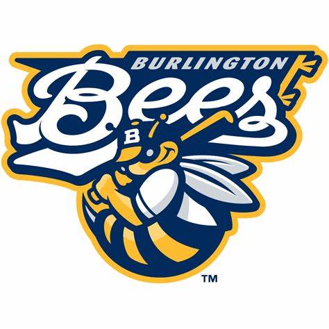 Burlington Bees