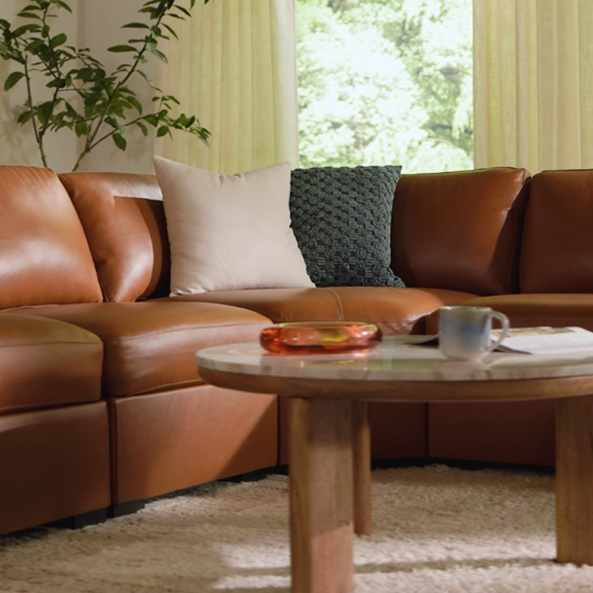 Fall Home Trends