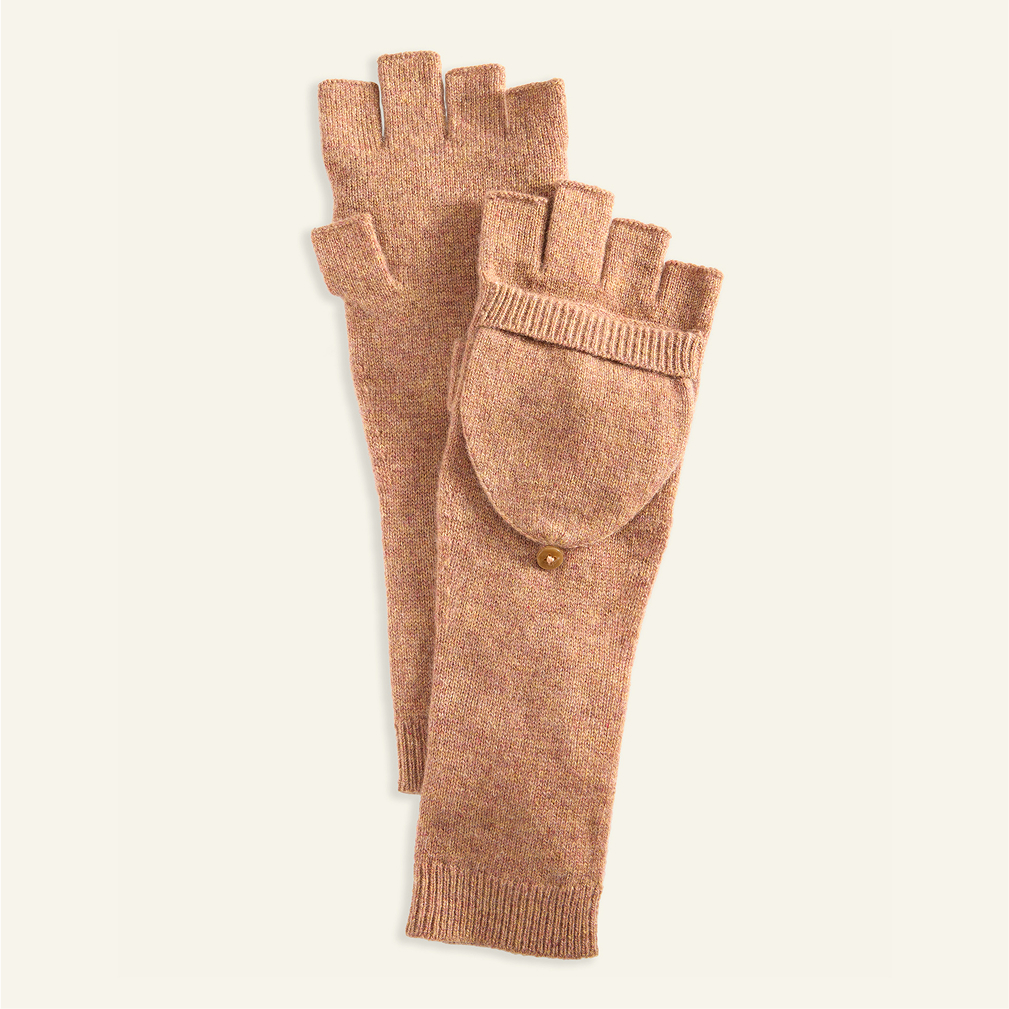 Ugg women's Tazz slipper