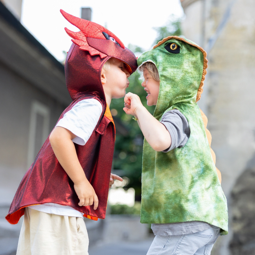Boys in dinosaur costumes
