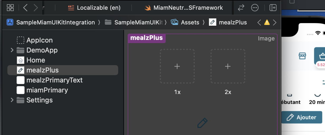 icon override sample