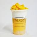 Mango Thai Origin - Sun Plaza