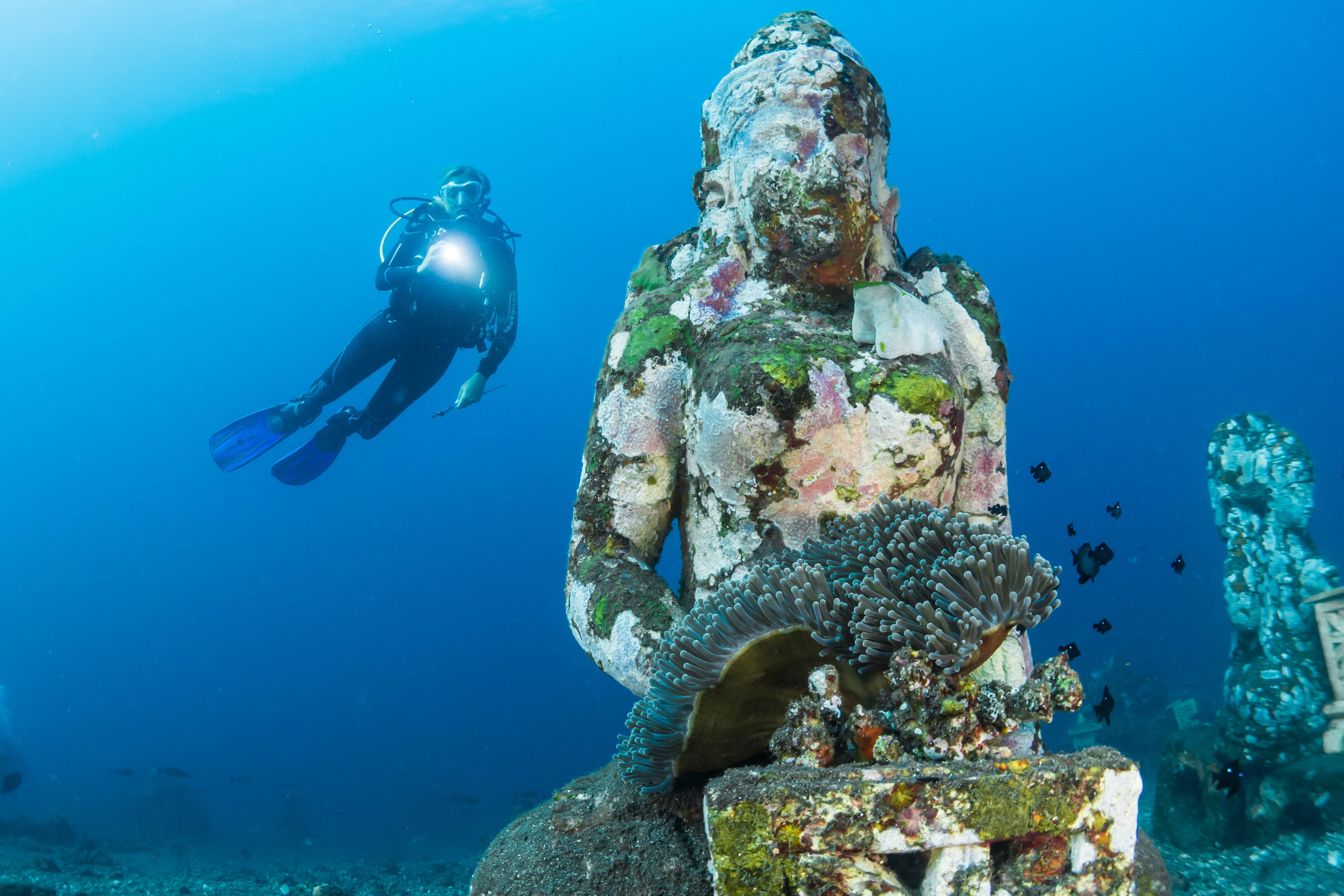 plongeur à bali