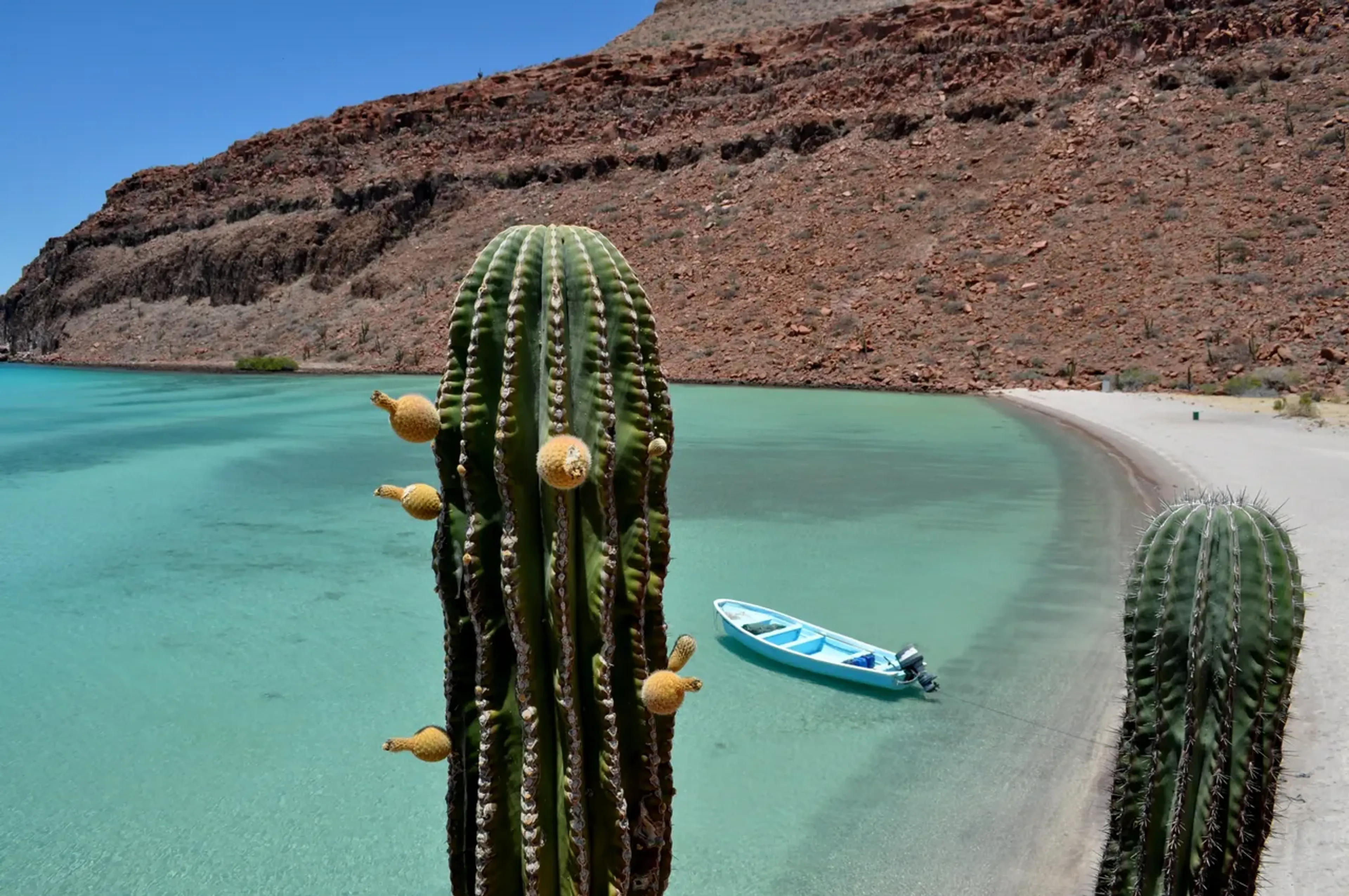 Baja California landscape