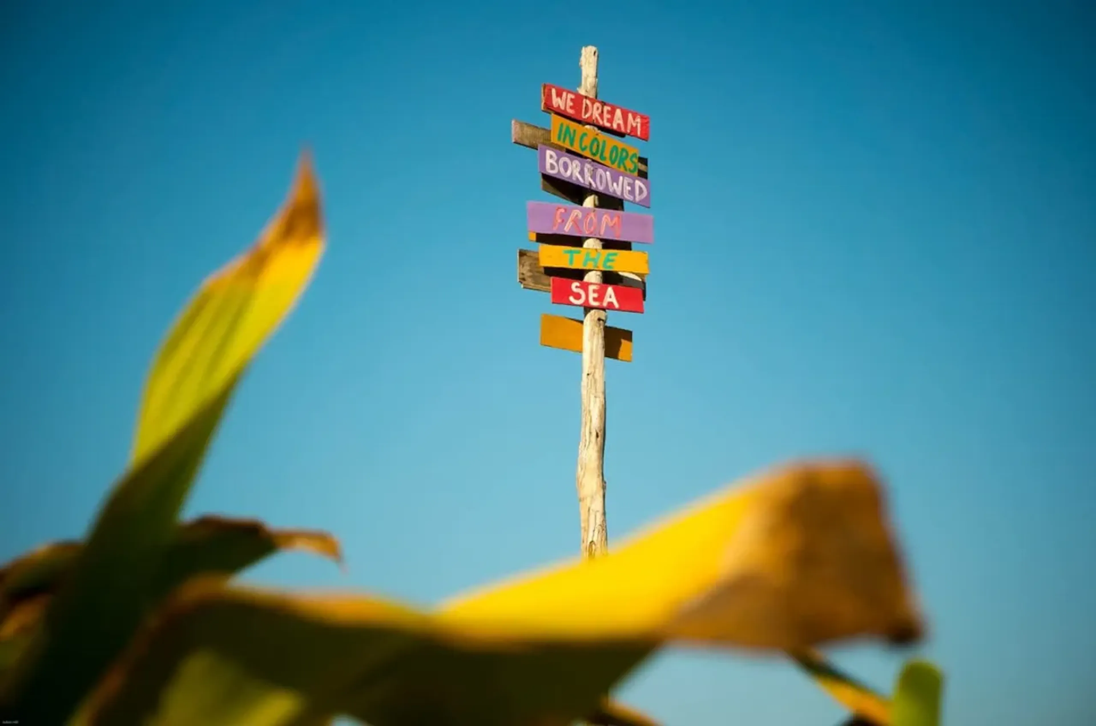 Signpost in Tofo, Mozambique