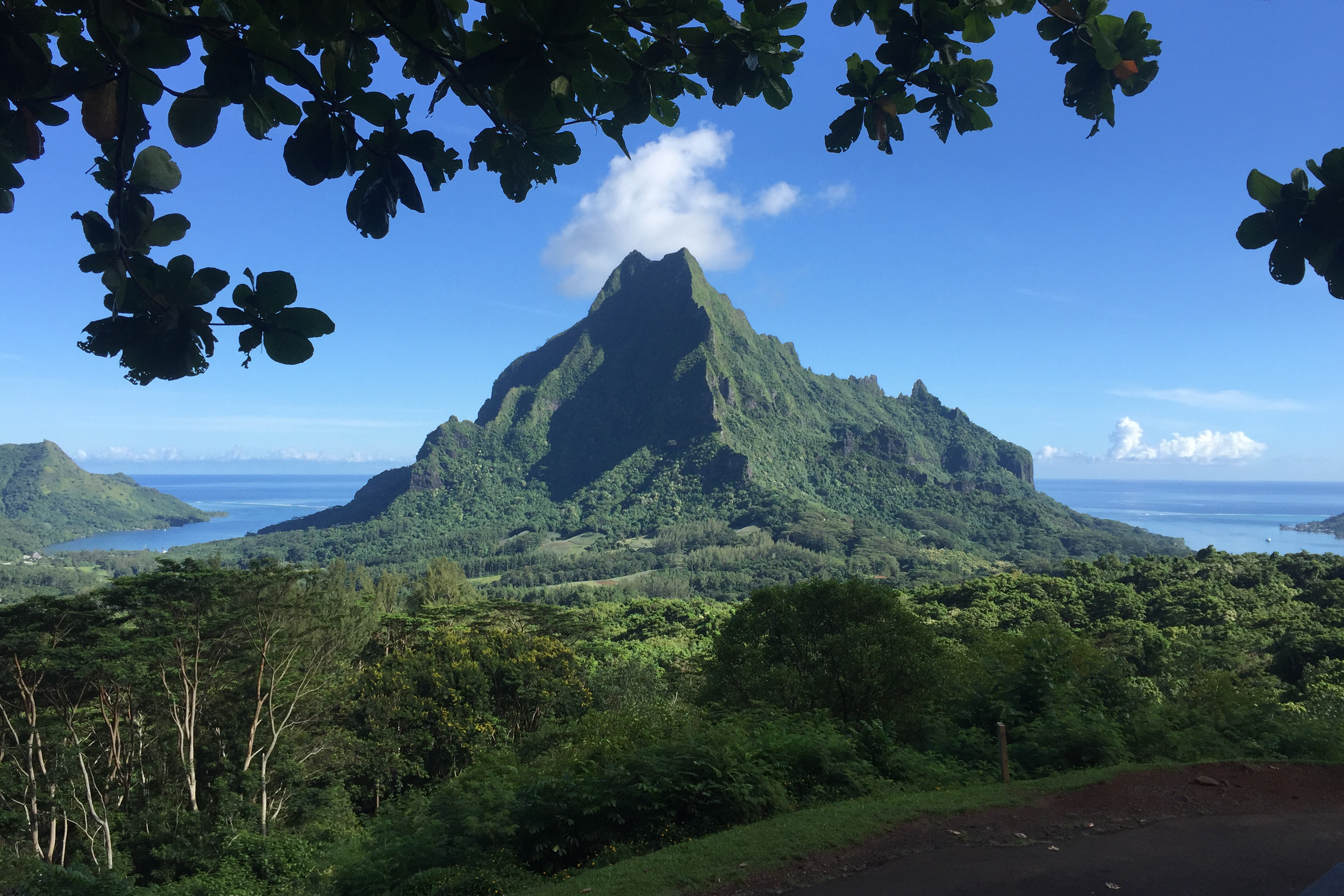 belvedere viewpoint in Moorea